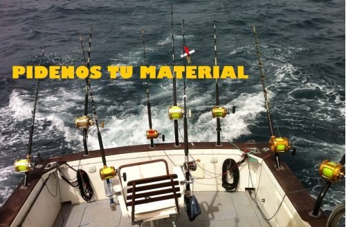 Pidenos tu material